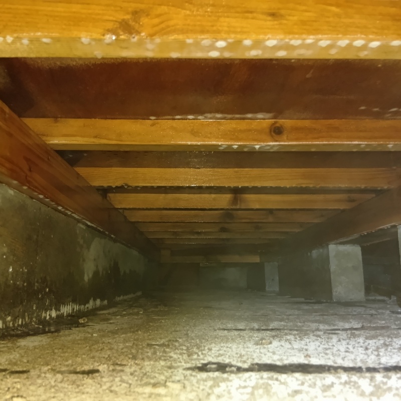 土壌処理が完了した様子