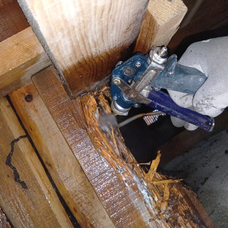 床下の木材にシロアリ駆除剤を散布