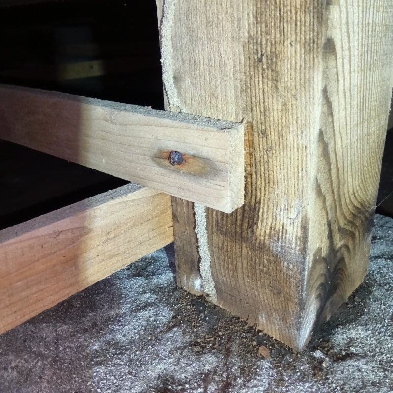 築年数40年のシロアリ駆除の施工事例（福井県福井市和田中町上村宅地）