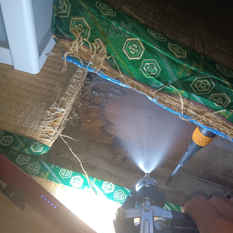 木製のフローリングにシロアリ駆除剤を散布