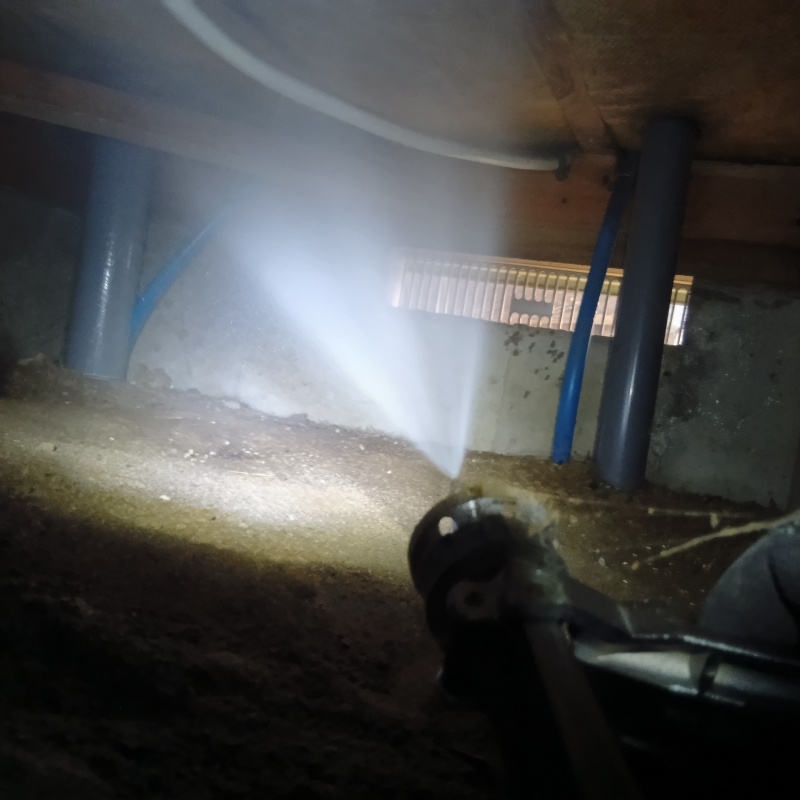 床下木材にシロアリ駆除剤を吹き付ける様子