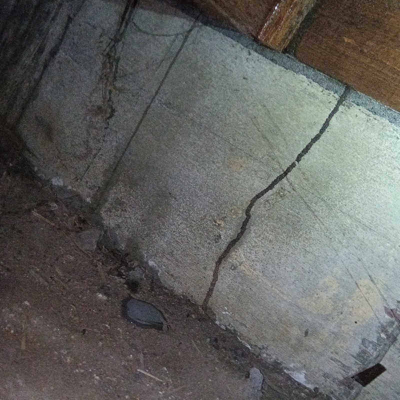 築年数40年のシロアリ駆除の施工事例（群馬県館林市大谷町）