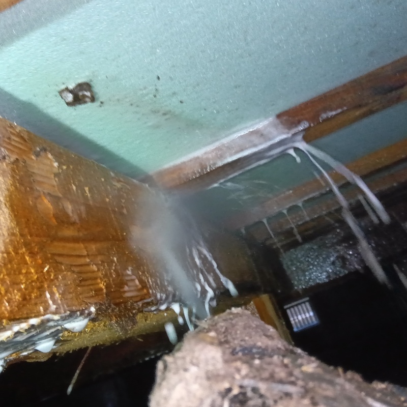 床下木材にシロアリ駆除剤を散布