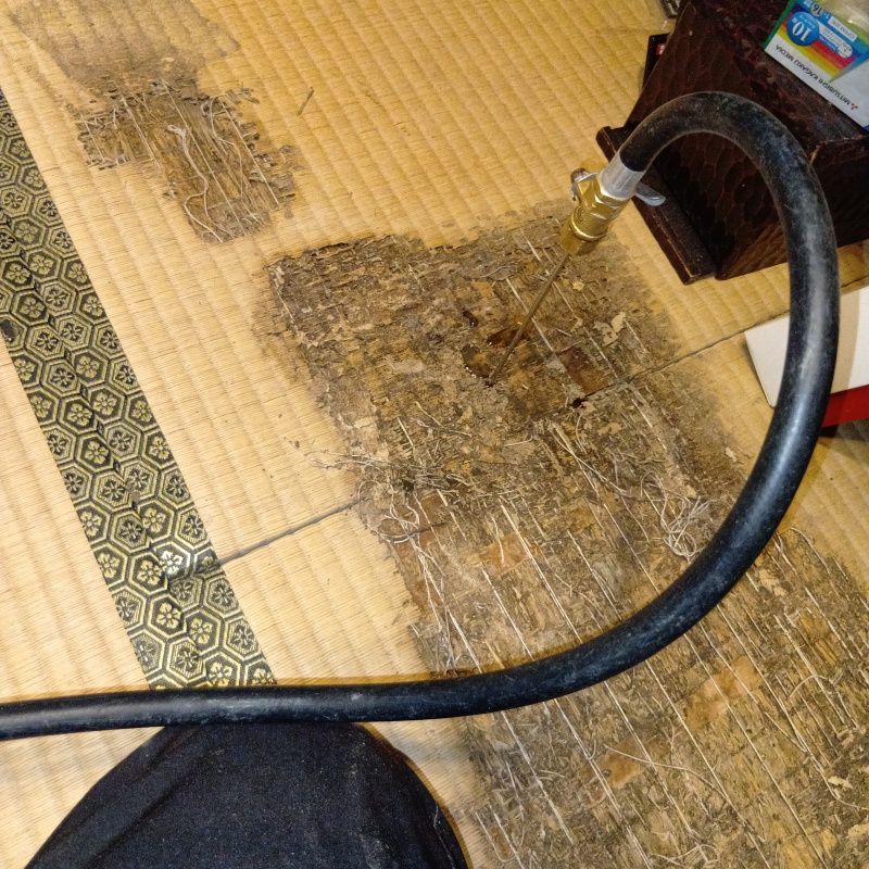 傷んだ畳にシロアリ駆除剤を注入