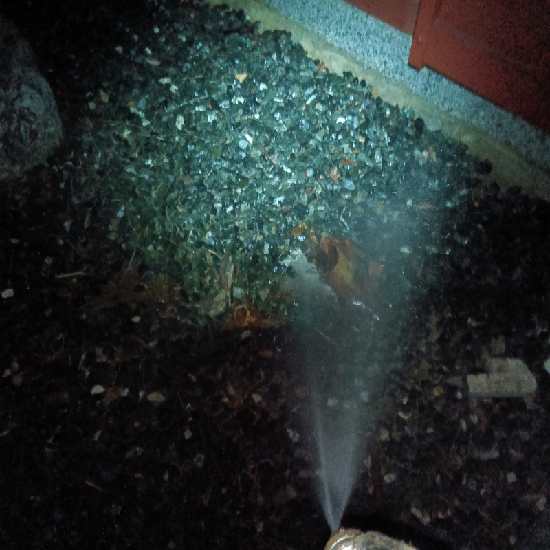 建物外周の土壌にシロアリ駆除剤を散布