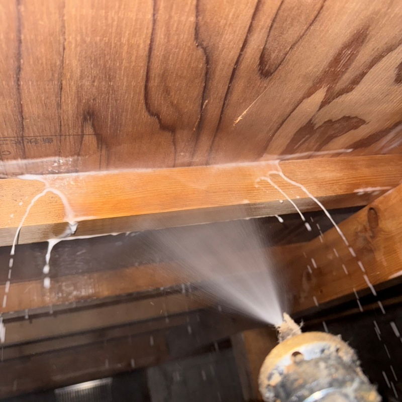 床下木材にシロアリ駆除剤を散布