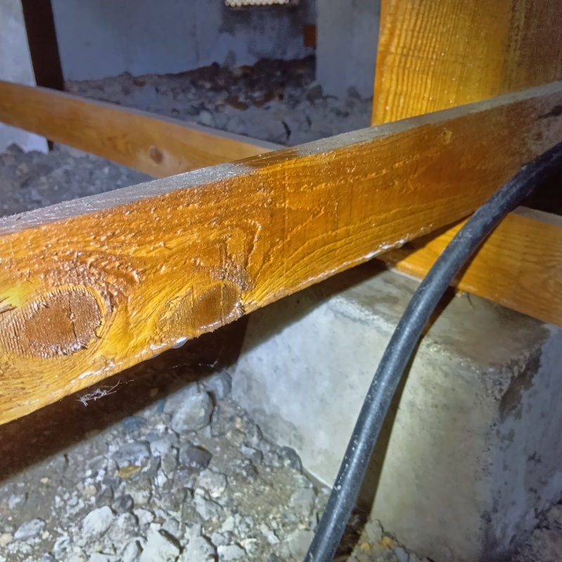 床下木材にシロアリ駆除剤を散布