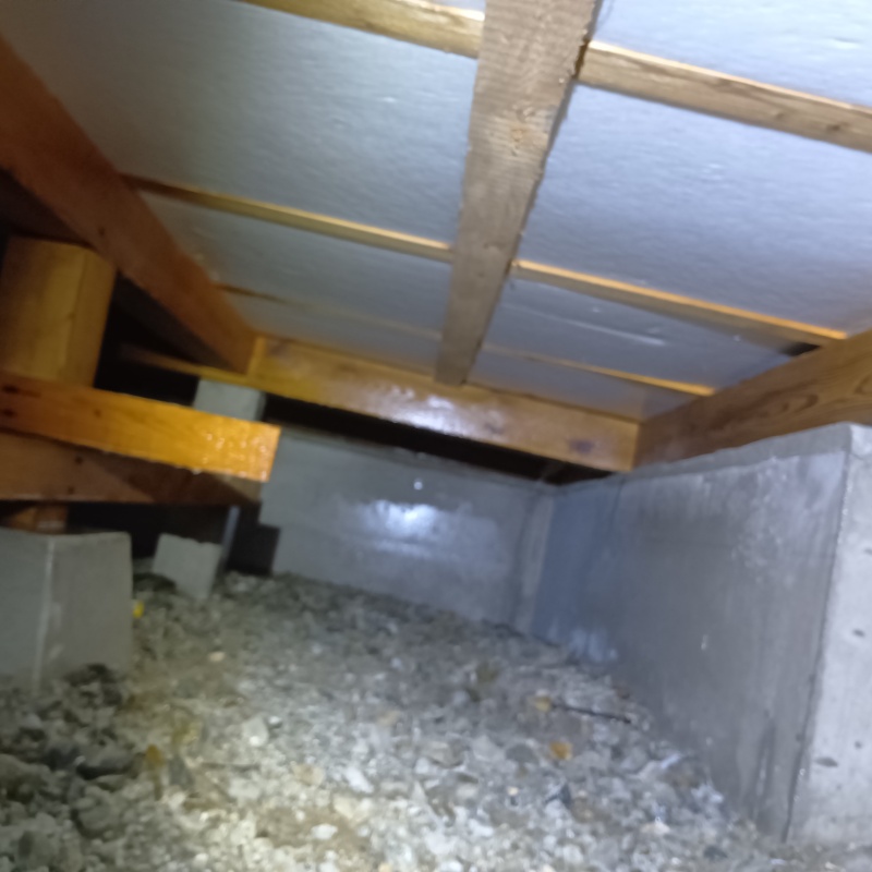 地面・基礎にシロアリ駆除剤を散布