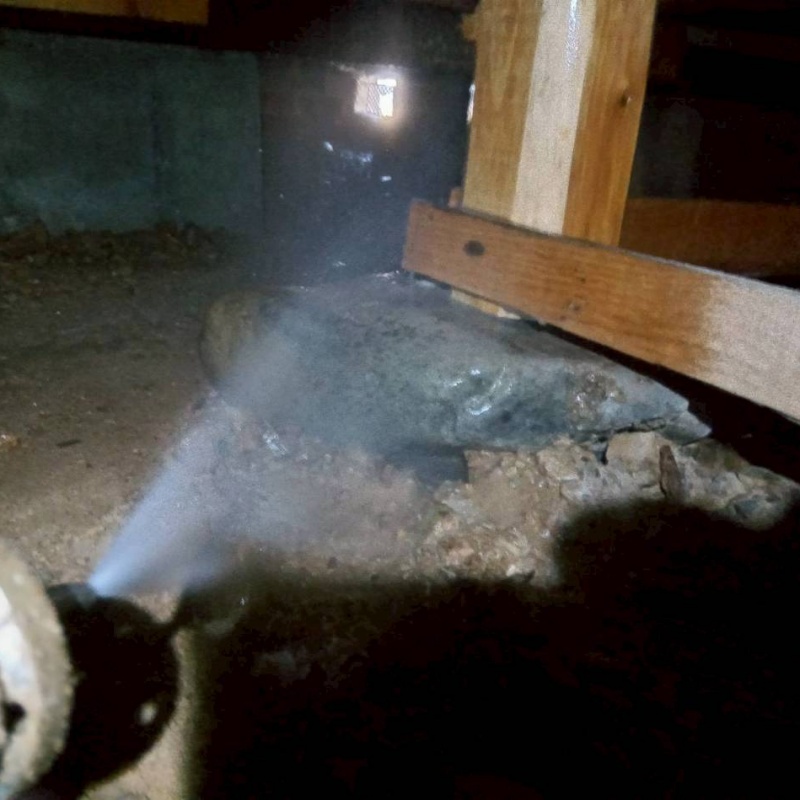 束石にシロアリ駆除剤を散布