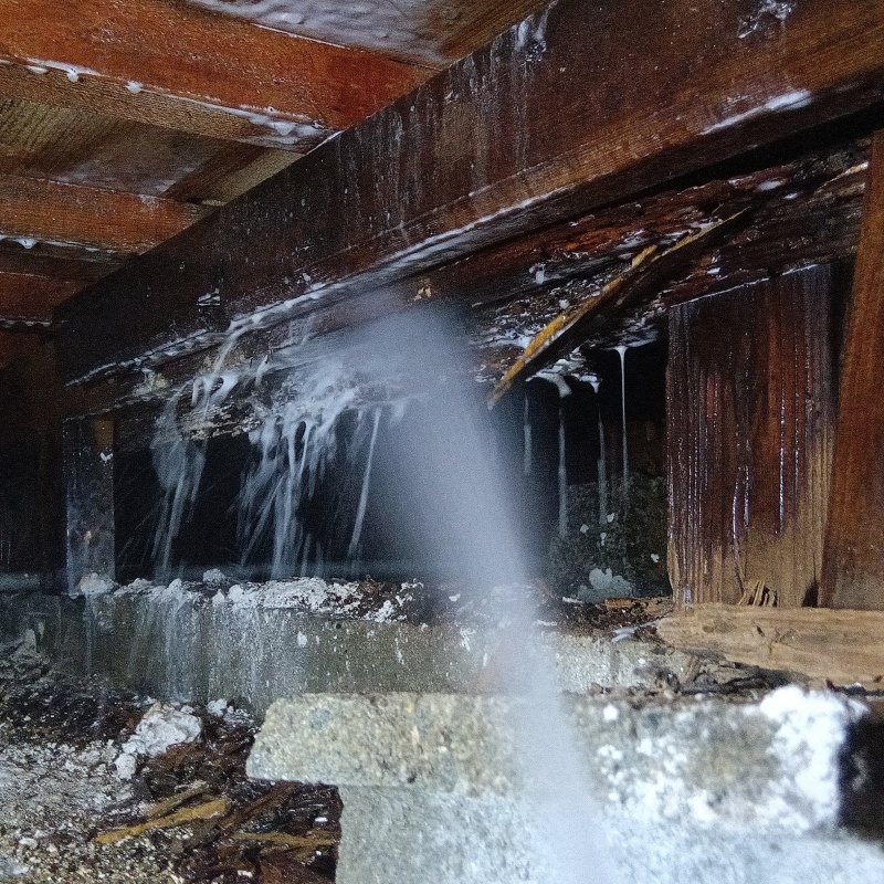 床下木材にシロアリ駆除剤を吹き付ける様子