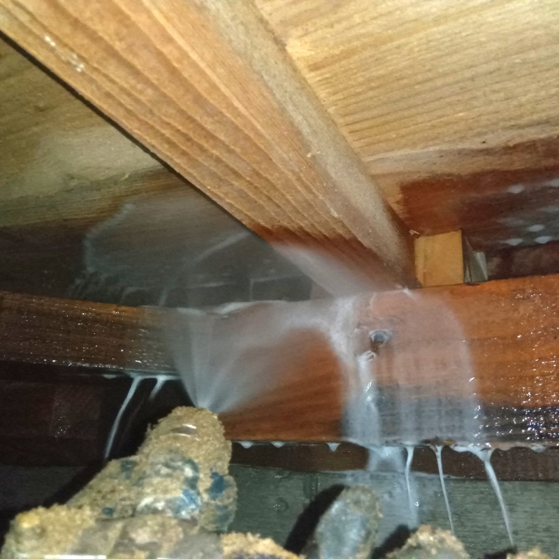 床下木材にシロアリ駆除剤を散布