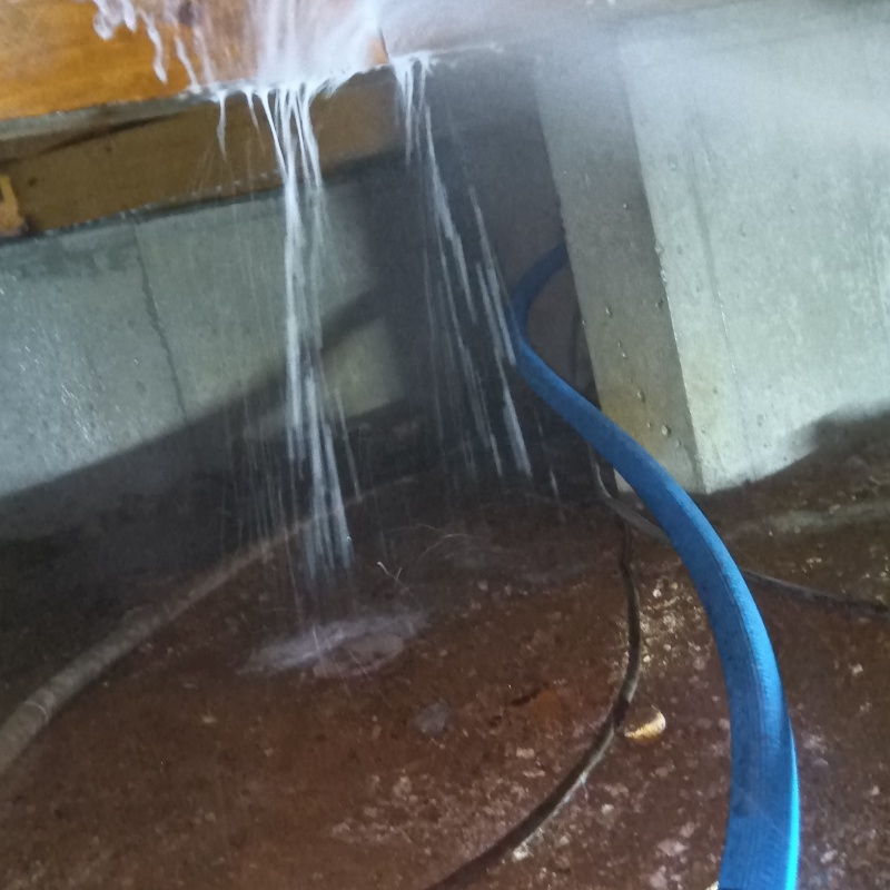 床下の木材にシロアリ駆除剤を散布