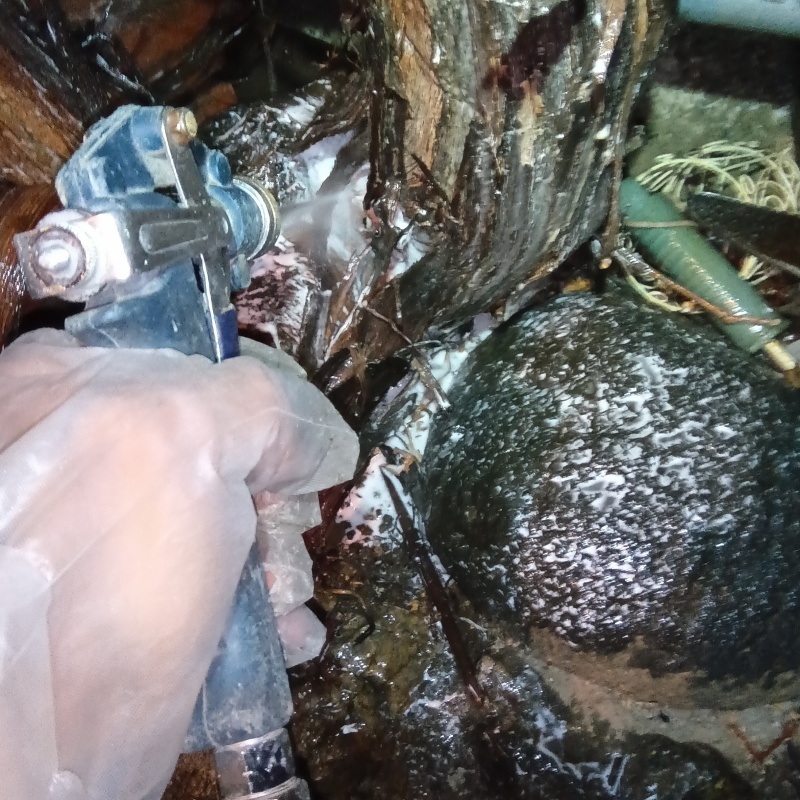 庭木にシロアリ駆除剤を散布