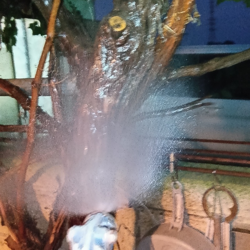 庭木にシロアリ駆除剤を散布