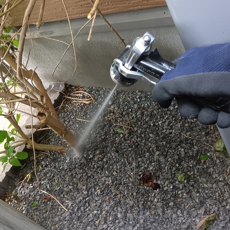 庭木に防蟻剤を散布