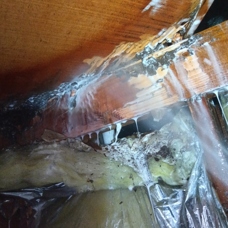 食害を受けた木材に防蟻剤を散布