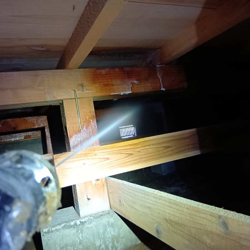 床下の木材にシロアリ駆除剤を散布