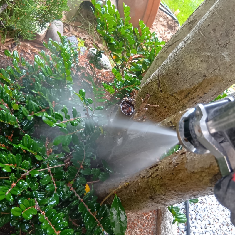 庭木のまわりに防蟻剤を散布