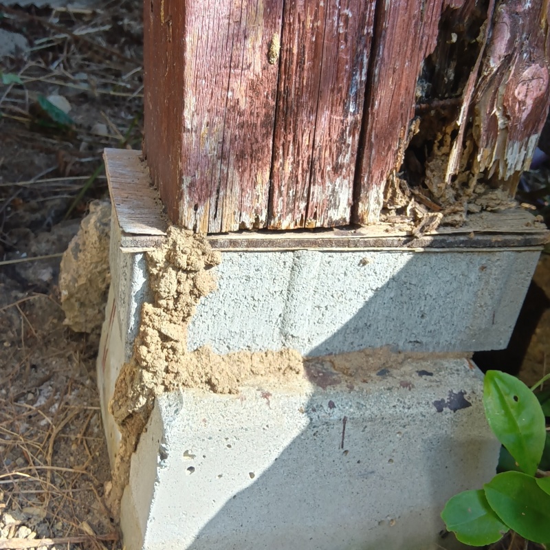 築年数28年のシロアリ駆除の施工事例（福岡県みやま市高田町舞鶴）
