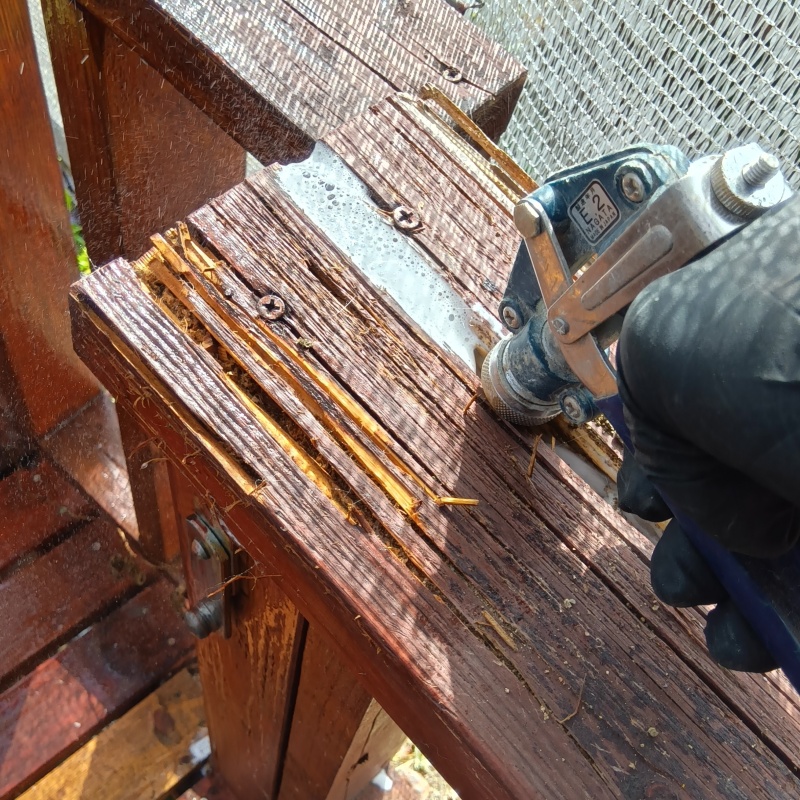 食害を受けた木材にシロアリ駆除剤を散布