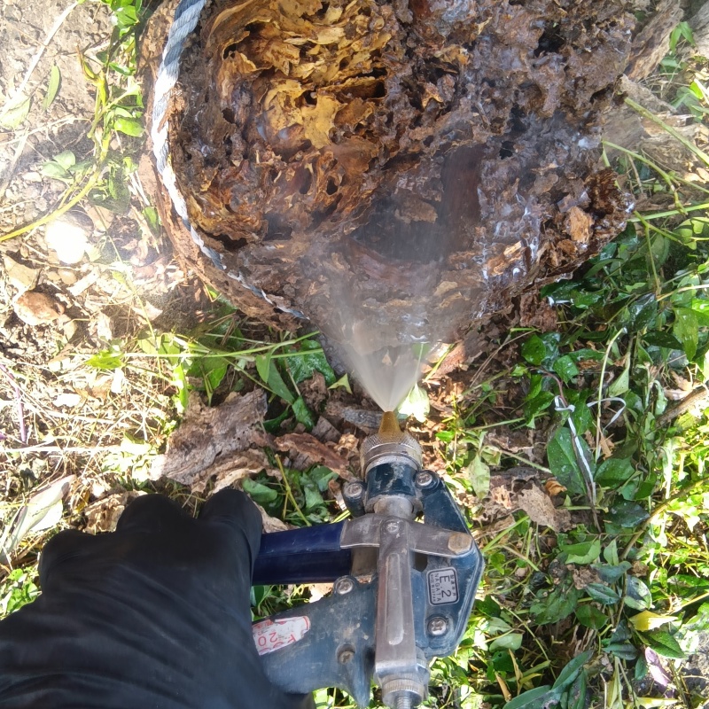 屋外の地面にシロアリ駆除剤を散布