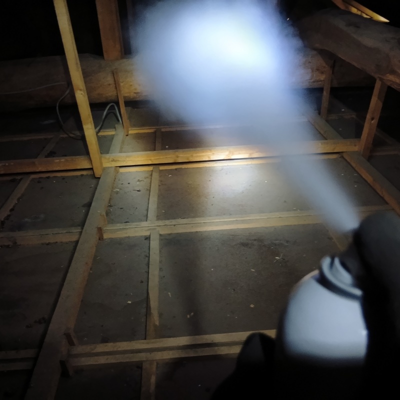 忌避スプレーで害獣を追い出す様子