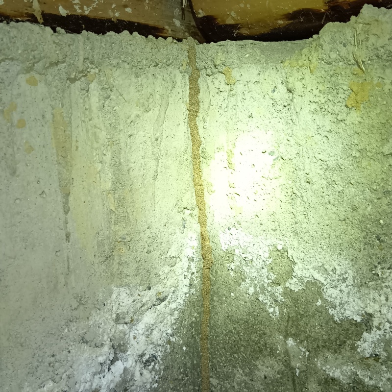 築年数40年のシロアリ駆除の施工事例（大阪府柏原市大県）