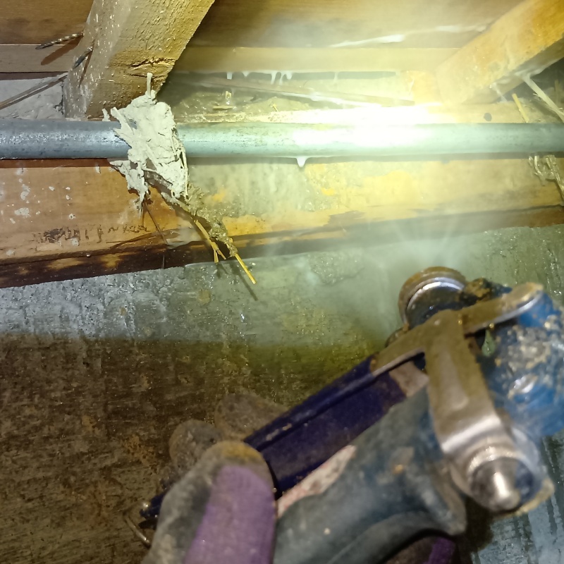 床下木材にシロアリ駆除剤を散布