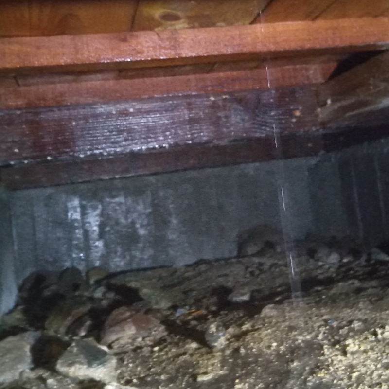 地面にシロアリ駆除剤を散布した様子