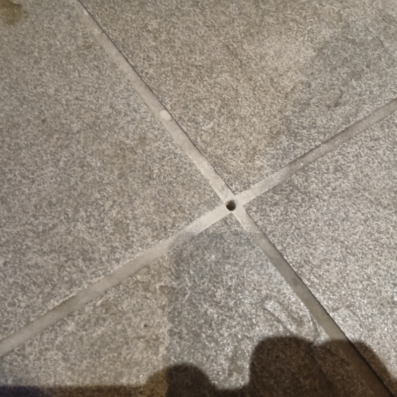 防蟻剤を注入するための穴を開けた様子