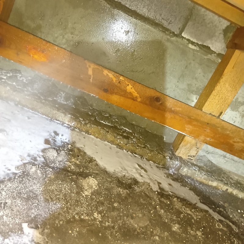 床下の地面にシロアリ駆除剤を散布