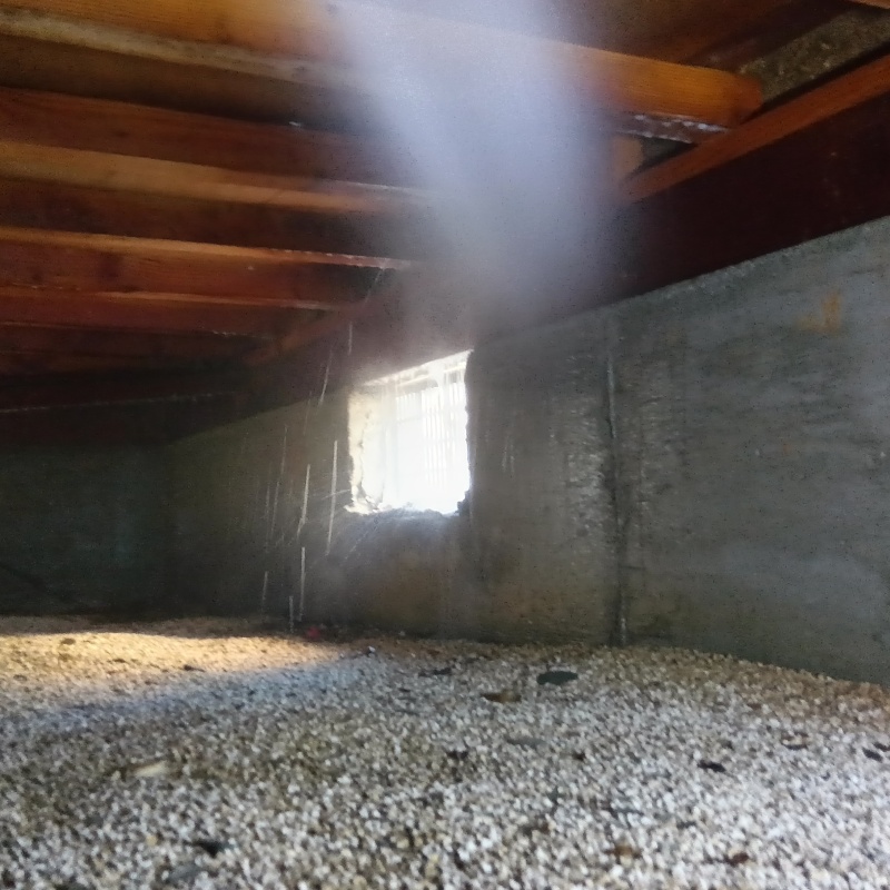 床下の木材にシロアリ駆除剤を散布