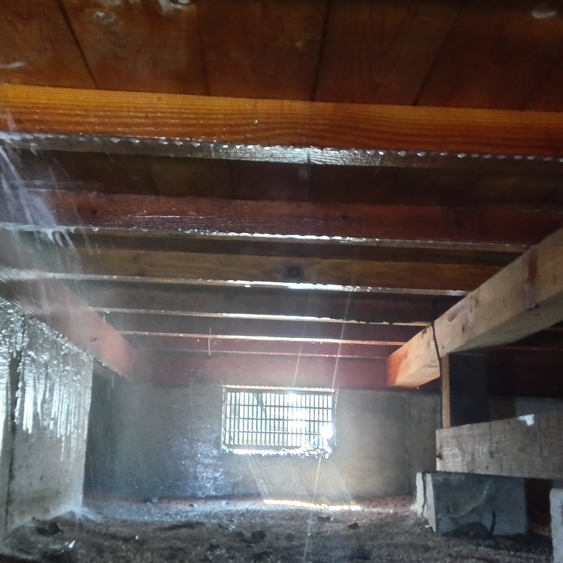 床下の木材にシロアリ駆除剤を散布