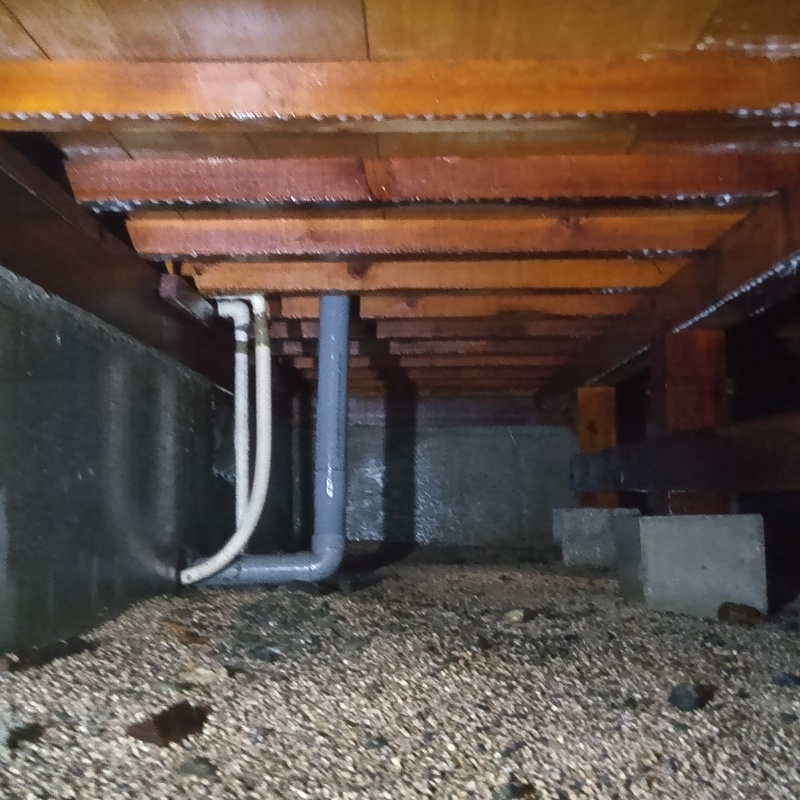 土壌処理が完了した様子