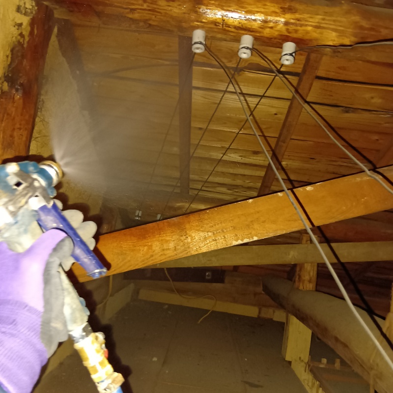 屋根裏にシロアリ駆除剤を散布