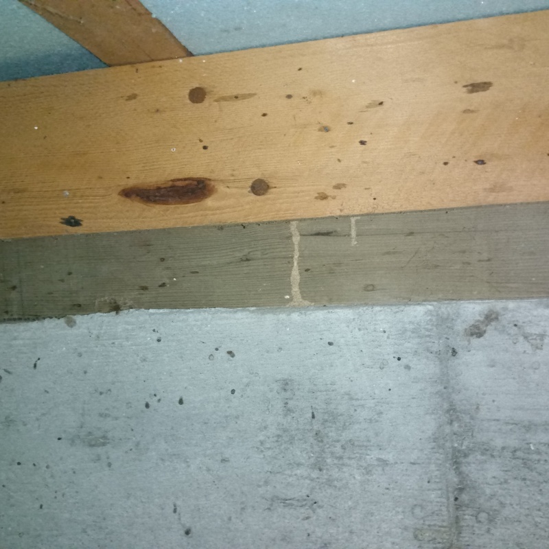 築年数30年のシロアリ予防の施工事例（宮城県宮城郡松島町松島）