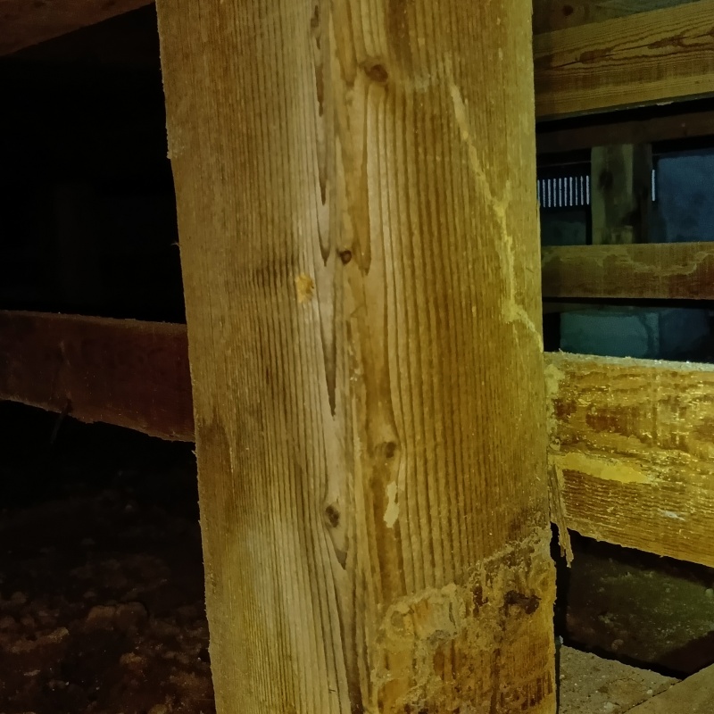 築年数45-50年のシロアリ駆除の施工事例（富山県高岡市中曽根）