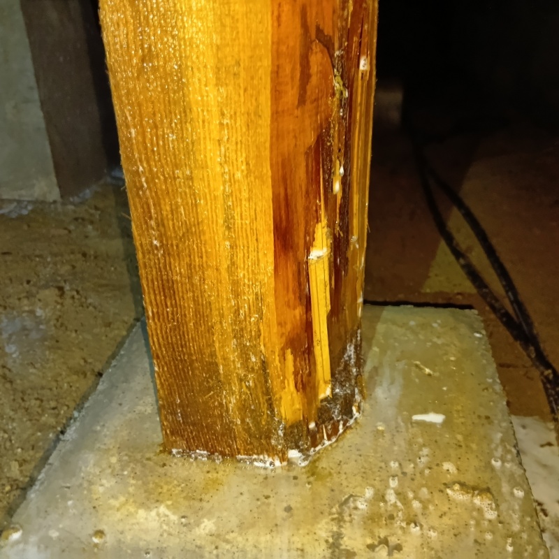 床下の柱にシロアリ駆除剤を散布したあと