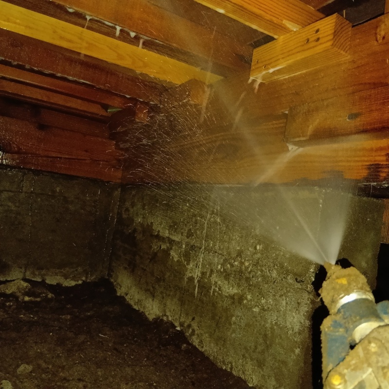 シロアリ駆除の施工事例（東京都練馬区豊玉上）