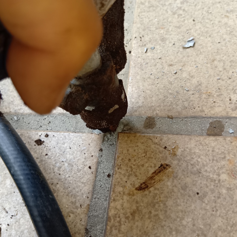 地面にシロアリ駆除剤を注入