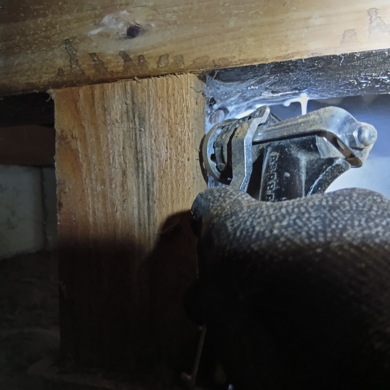 木材の亀裂にシロアリ駆除剤を散布