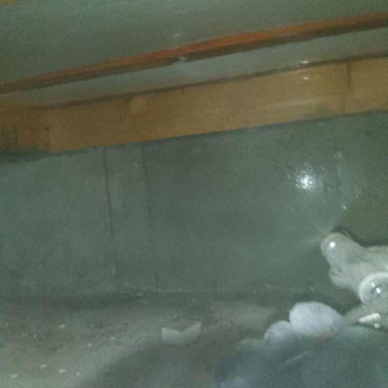 基礎に防蟻剤を散布