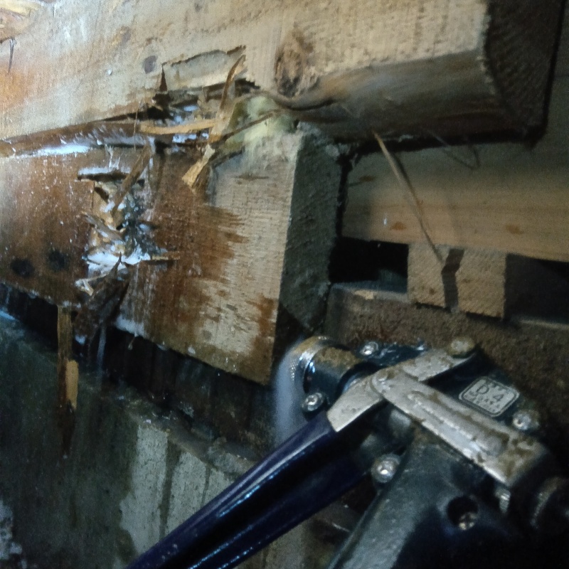 床下木材にシロアリ駆除剤を吹きつける様子