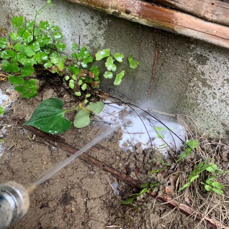 基礎まわりにシロアリ駆除剤を散布