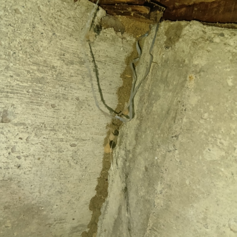築年数49年のシロアリ駆除の施工事例（宮城県登米市）