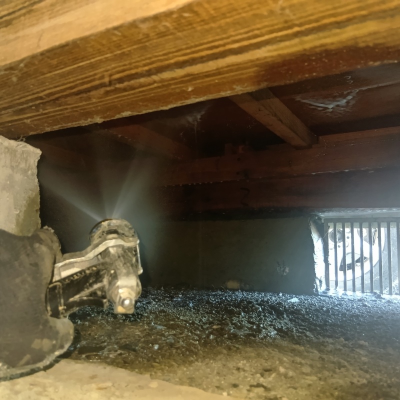 床下木材にシロアリ駆除剤を散布