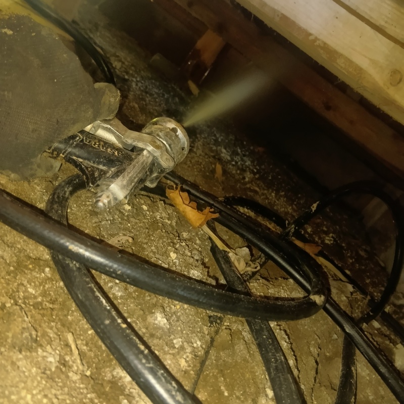 床下木材にシロアリ駆除剤を散布している様子