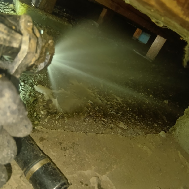 地面にシロアリ駆除剤を吹き付ける様子