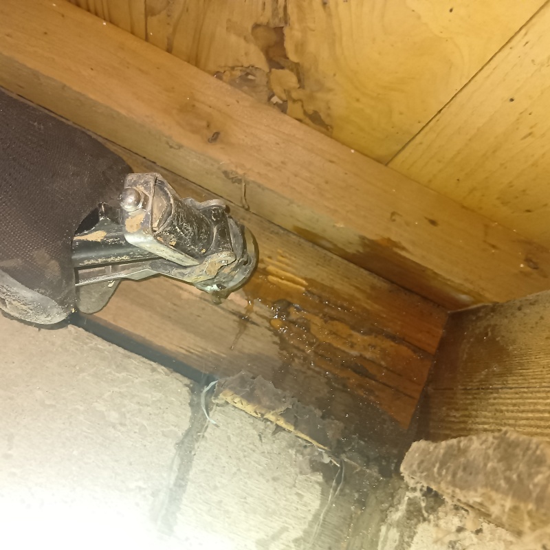 床下木材に穴を開けて直接シロアリ駆除剤を注入