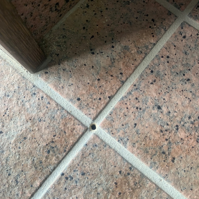 シロアリ駆除剤を注入するための穴を開けた様子